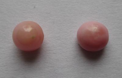 Pair Light Pink Conch Pearls