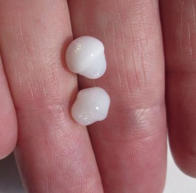 Pair of Bell Shaped Flame Filled Clam Pearls 4+ carats Total 