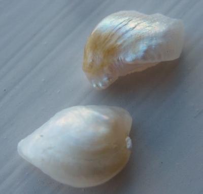 Pair of Natural USA Freshwater Pearls