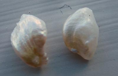Pair of Natural USA Freshwater Pearls