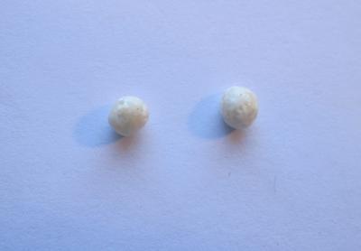 Pair Scallop Pearls 1.15 carats 5mm