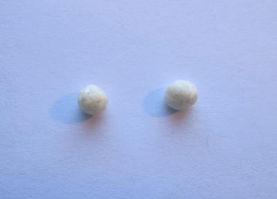 Pair Scallop Pearls 1.15 carats 5mm