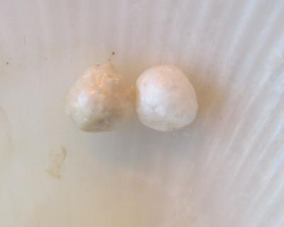 Pair Scallop Pearls 3.70 carats 