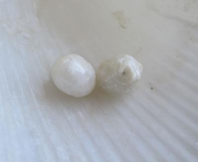 Pair Scallop Pearls 3.70 carats 