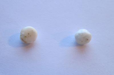 Pair Scallop Pearls White Button Shaped