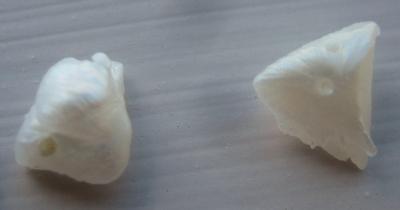 Pair Unique Natural USA Freshwater Pearls