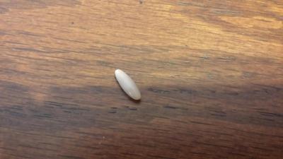 Beautiful Oblong Pearl