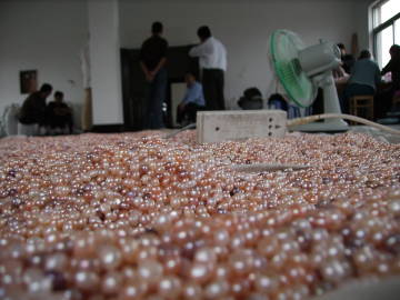 Pearl Factory Closeup Drying