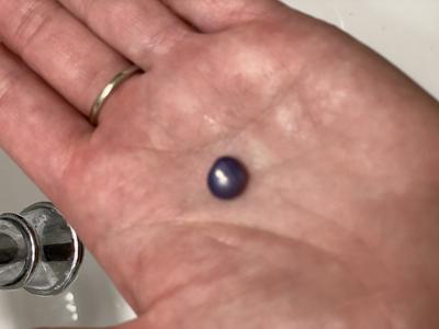 Pearl Found in Mexico