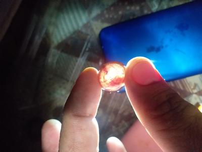 Pearl from the snake fish