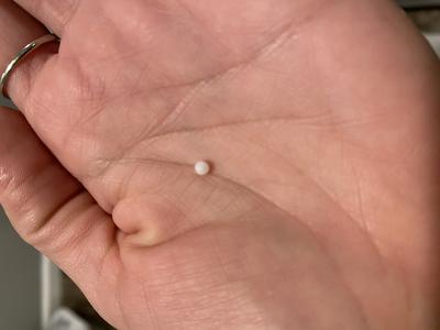 Pearl in a little neck clam