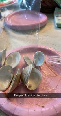 Pearl in a little neck clam