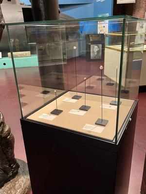 Natural Pearl Display at Paterson Museum