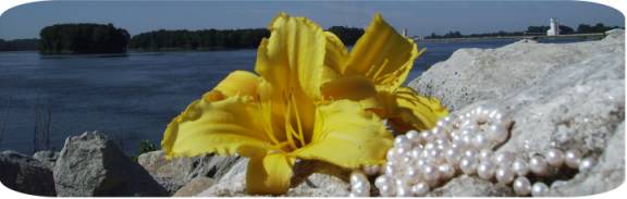 Pearls and Lilies Pearls and Lilies on the Mississippi