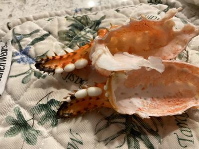 Pearls in King Crab Legs !!!