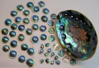 Blue Eyris Pearls with shell