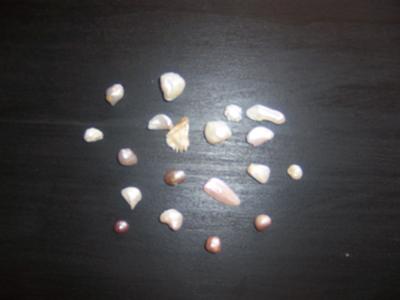 Mississippi River Pearls