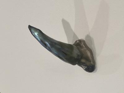 Perfect Shape Natural Abalone Pearl 118 carats