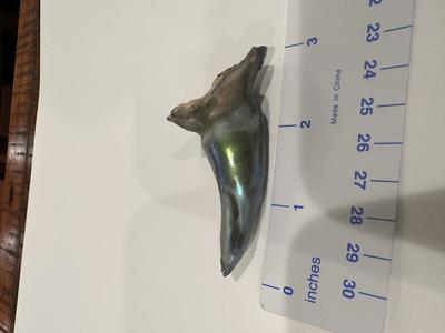 Perfect Shape Natural Abalone Pearl 118 carats