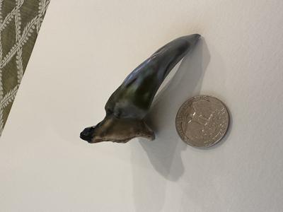 Perfect Shape Natural Abalone Pearl 118 carats