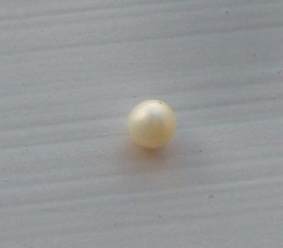 Perfectly Round Golden Natural USA Freshwater Pearl