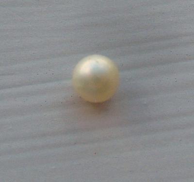 Perfectly Round Golden Natural USA Freshwater Pearl