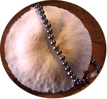 Photographs of pearl necklace