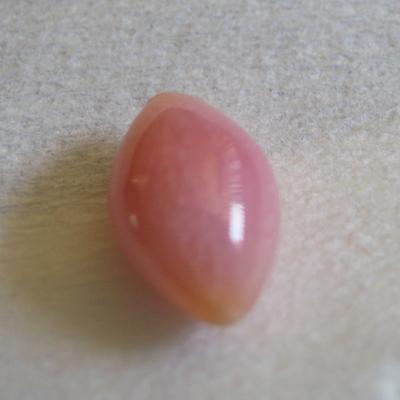 Pink Conch Pearl 1+ Carats