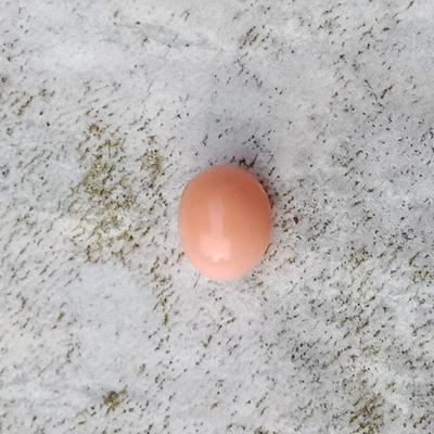 Pink Conch Pearl 2 + ct