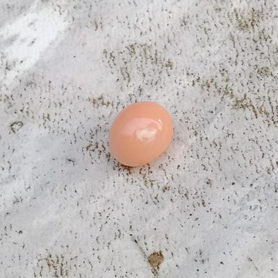 Pink Conch Pearl 2 + ct