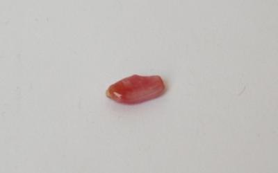 0.50 carat pink conch pearl
