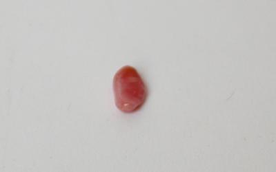 0.50 carat pink conch pearl