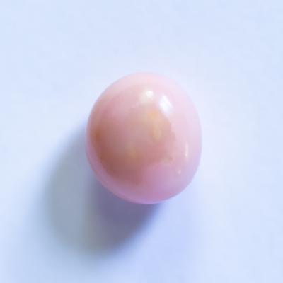 Pink Conch Pearl 5+ carat 10mm Button Shape