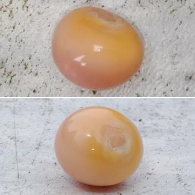 Pink Conch Pearl ~ 8 ct