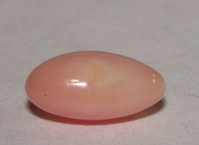 Pink Conch Pearl 8mm Oval for Sale
