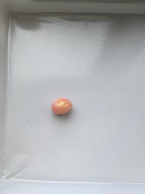 3.5 Carats Conch Pearl 