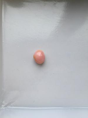 3.5 Carats Conch Pearl 