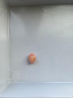 3.5 Carats Conch Pearl 