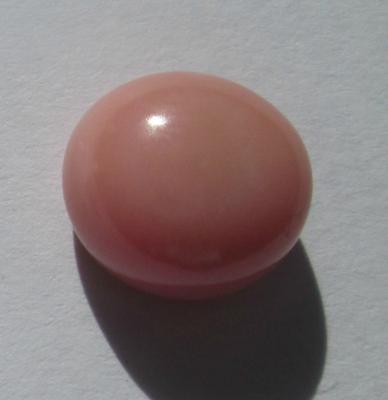 Pink Conch Pearl Button Shape 4.31 carats