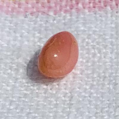 Pink Conch Pearl for Sale 1+ carat