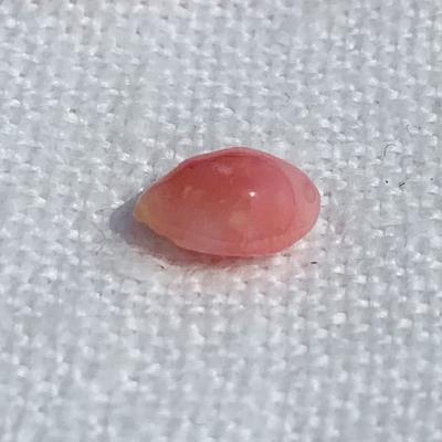 Pink Conch Pearl for Sale Drop Shape 7mm