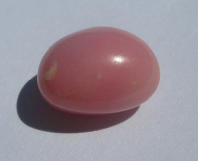 Pink Conch Pearl Oval 6.68 carats