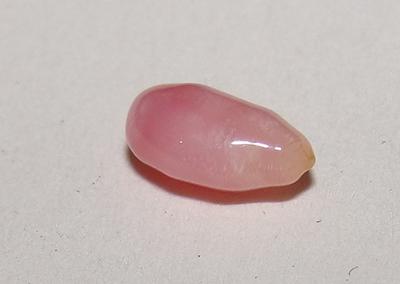 Pink Conch Pearl Oval 6mm