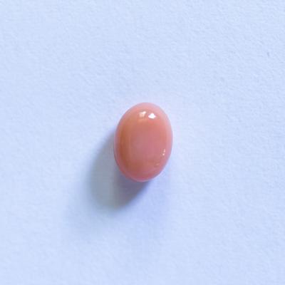 Pink Conch Pearl Oval 6mm 