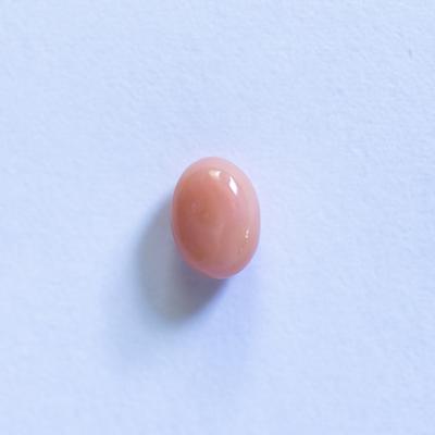 Pink Conch Pearl Oval 6mm 