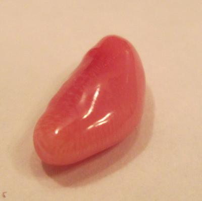 1.76 carat conch pearl