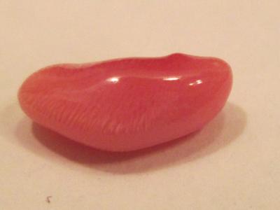 1.76 carat conch pearl