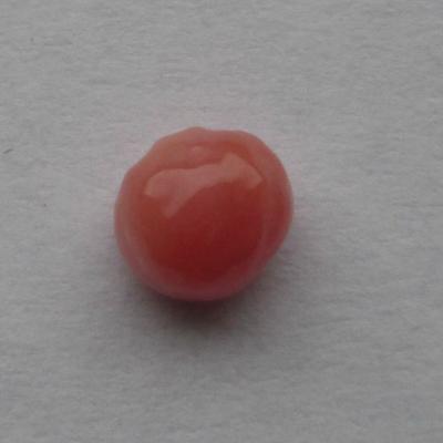 Pink Flat Bottomed Conch Pearl