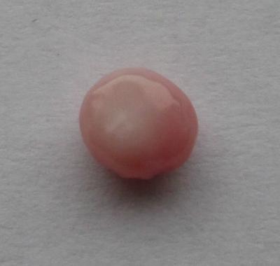 Pink Flat Bottomed Conch Pearl
