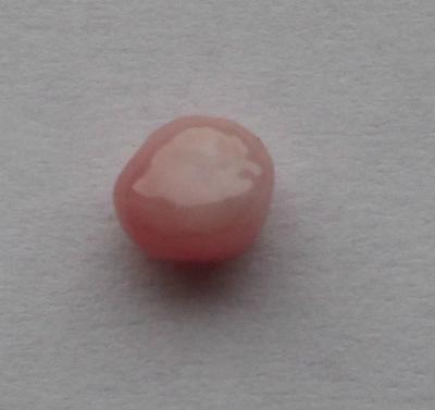 Pink Flat Bottomed Conch Pearl